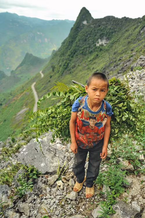 L’innocence des enfants sur le plateau calcaire de Dông Van ảnh 9