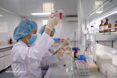 Des chercheurs de l’Institut des vaccins et des produits biologiques médicaux, relevant du ministère de la Santé, mènent des recherches et procèdent au contrôle des vaccins. Photo : VNA.