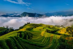 [Photos] Des paysages saisissants à Hoang Su Phi, au plus beau moment de l’année