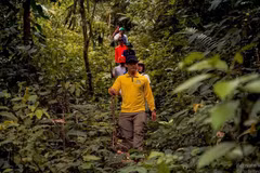 Les circuits de trekking sous le couvert des forêts primaires ouvrent de nouvelles perspectives pour le tourisme expérientiel et la création de moyens de subsistance pour les habitants locaux. Photo : baovanhoa.vn.