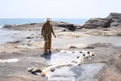 Le site rocheux de production de sel se trouve en bord de mer. Photo : tienphong.