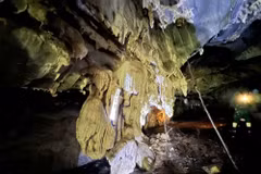 Une grotte aux multiples niveaux de stalactites découverte au cœur d’une forêt de Nghe An