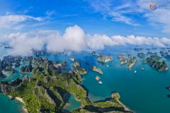 La baie d’Ha Long aux couleurs de l’automne 