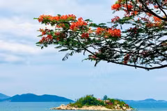 Tu Ton, le temple insulaire où Nha Trang rencontre le silence