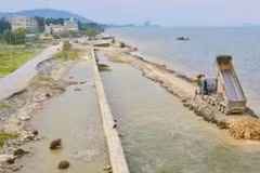 La province de Thanh Hoa accélère les travaux de construction sur les digues et ouvrages de protection importants. Photo : VNA.