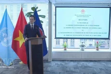 L'ambassadeur Do Hung Viet, chef de la Mission permanente du Vietnam auprès des Nations Unies. Photo: VNA