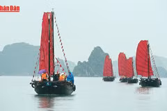 Expérience de voiliers à trois parois dans la baie d’Ha Long