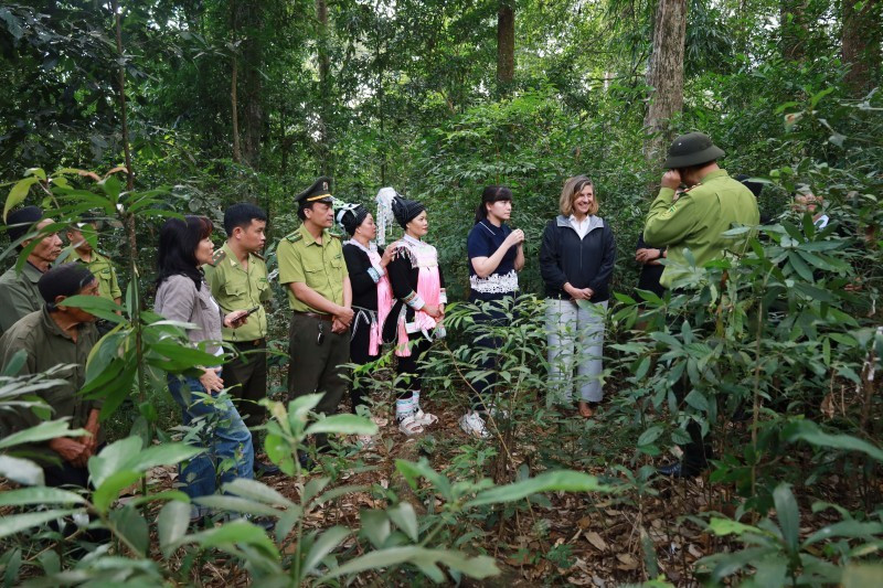 Visite de travail sur la protection des forêts à Lai Chau. Photo : CARE au Vietnam.
