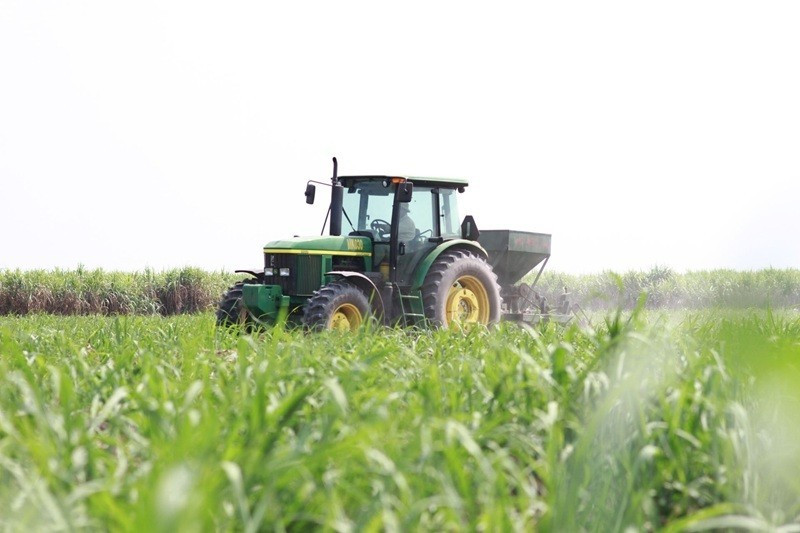 Photo : Lyluanchinhtri.