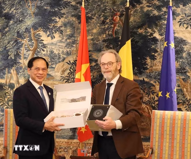 Le vice-Premier ministre vietnamien Bui Thanh Son (gauche) et le président de la Chambre des représentants de Belgique, Peter De Roover. Photo: VNA.