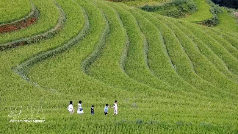 La beauté des rizières en terrasses de Mu Cang Chai, l'une des principales destinations touristiques du Nord-Ouest. Photo : VNA.