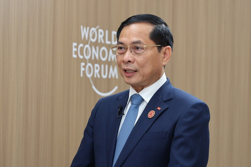 Le vice-Premier ministre et ministre des Affaires étrangères Bui Thanh Son, Photo : VGP.