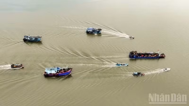 Les pêcheurs de Binh Dai (province de Vinh Long) célèbrent la Fête de Nghinh Ong Nam Hai.