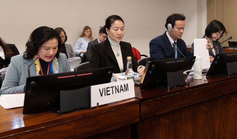 La vice-ministre de l'Intérieur, Nguyen Thi Ha, défend le 9e rapport national sur la mise en œuvre de la CEDAW. Photo : VNA.