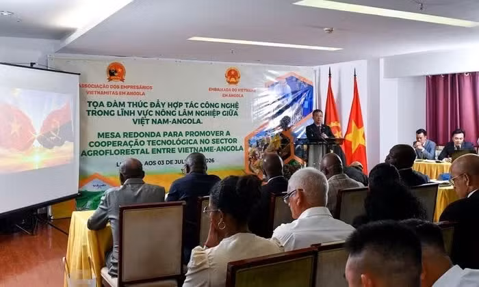 Table ronde sur le renforcement de la coopération scientifique et technologique dans les secteurs de l'agriculture et de la foresterie entre le Vietnam et l'Angola. Photo : Ambassade du Vietnam en Angola.
