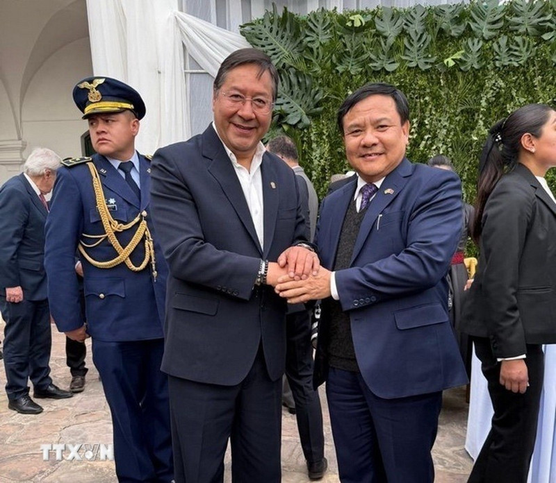 L'ambassadeur Bui Van Nghi rencontre le président bolivien Luis Alberto Arce. Photo : VNA.