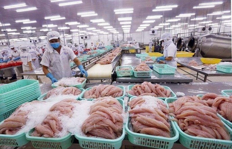 Les filets congelés sont restés le pilier des exportations vietnamiennes de pangasius. Photo : VNA.