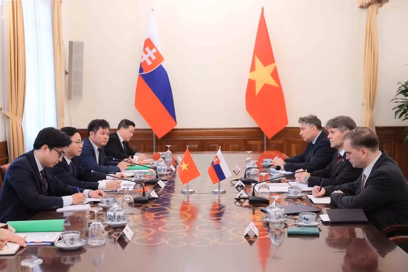 Panorama de la consultation politique Vietnam-Slovaquie. Photo : VNA.