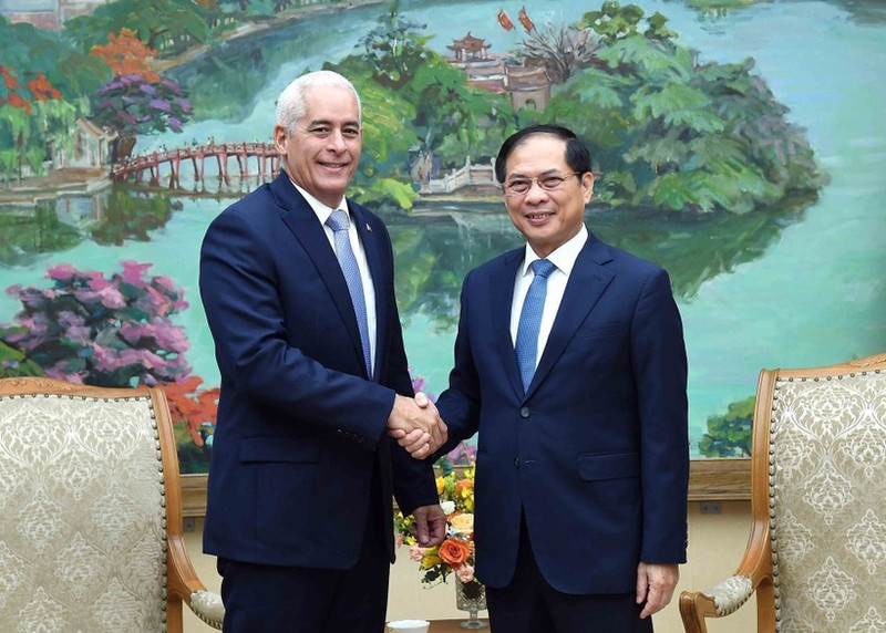 Le vice-Premier ministre et ministre des Affaires étrangères Bui Thanh Son (droite) reçoit à Hanoï Gerardo Peñalver Portal, premier vice-ministre des Affaires étrangères de Cuba. Photo : VNA.