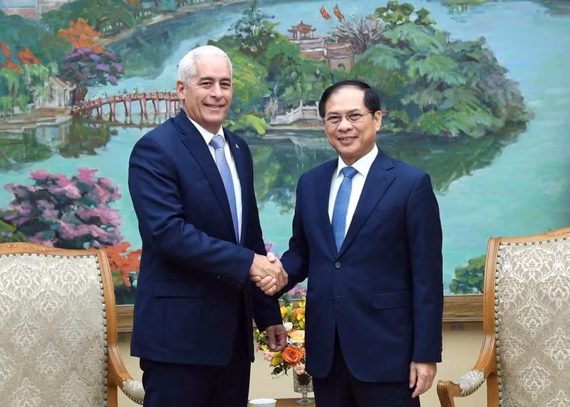 Le vice-Premier ministre et ministre des Affaires étrangères Bui Thanh Son (droite) reçoit à Hanoï Gerardo Peñalver Portal, premier vice-ministre des Affaires étrangères de Cuba. Photo : VNA.