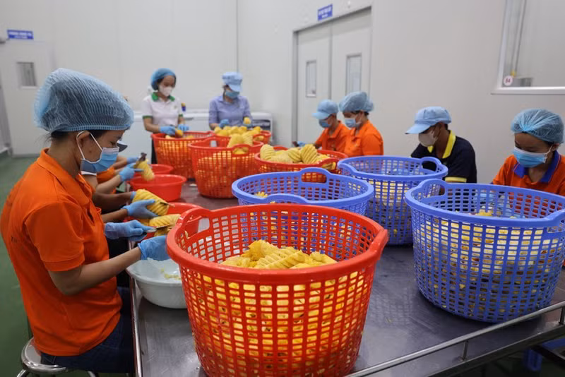 Préparation des fruits pour la production de jus à l'usine de la société par actions Wana Beverage, implantée dans la zone industrielle de Chau Duc, à Ba Ria-Vung Tau. Photo : VNA.