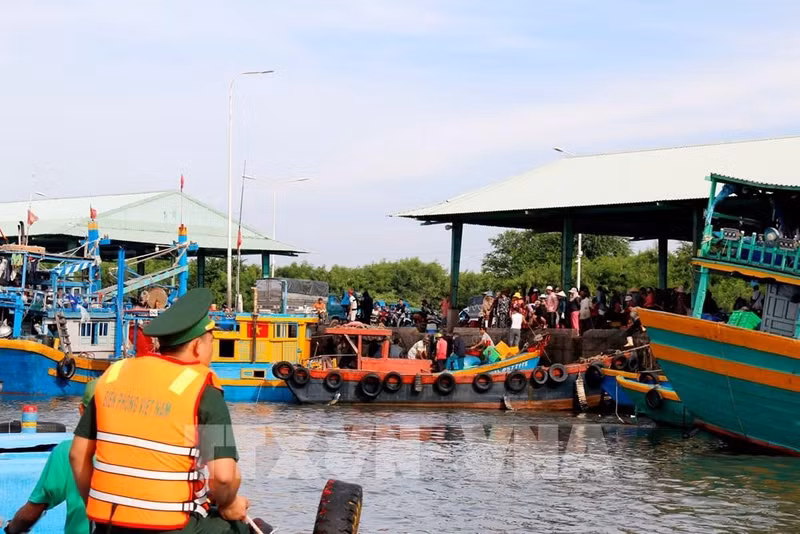 La station de garde-frontière de Thanh Hai organise la patrouille des bateaux de pêche entrant au port de Phu Hai, quartier Phu Thuy, province de Lâm Dông. Photo : VNA.