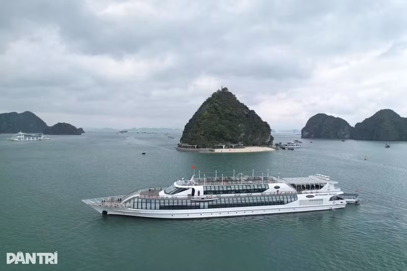 De nombreuses croisières dans la baie de Ha Long sont modernisées et mieux équipées, offrant aux visiteurs une expérience plus enrichie. Photo : Nguyen Duong.
