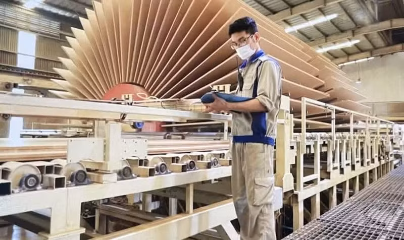 Les exportations de bois et de produits dérivés ont atteint 8,54 milliards de dollars au premier semestre, soit une progression de 4,4 % sur un an. Photo : VNA.