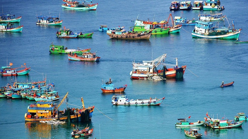 Les exportateurs vietnamiens de produits aquatiques aux côtés du gouvernement pour préserver leur réputation et leurs marchés internationaux. Photo : NDEL.