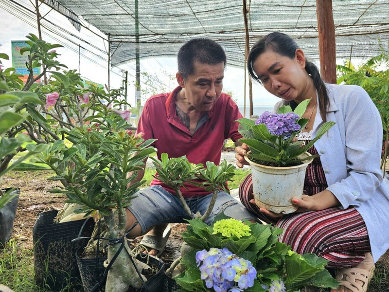 Le Hong Phuc et sa femme Vo Thi Loan, résidant dans le hameau de Tan Thien, commune de Tan Thanh Binh, province de Ben Tre, développent leur entreprise de production de pots ornementaux et de bonsaïs grâce à un crédit public. Photo : VNA.