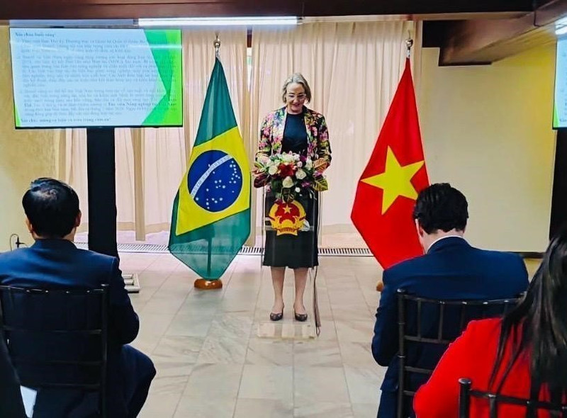Mirela Janice Eidt, directrice du Bureau du ministère brésilien de l’Agriculture et de l’Élevage, s'exprime au séminaire. Photo: ambassade du Vietnam au Brésil.