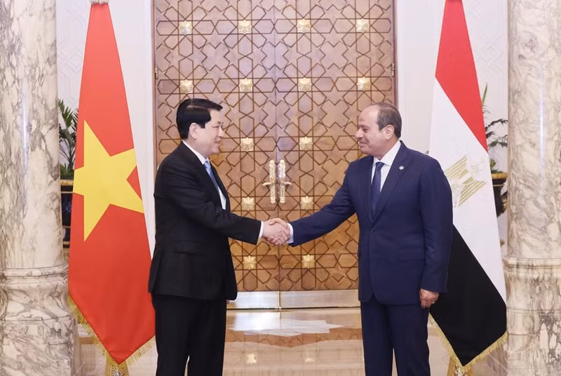 Le président vietnamien Luong Cuong (à gauche) et le président égyptien Abdel Fattah El-Sisi. Photo : VNA.