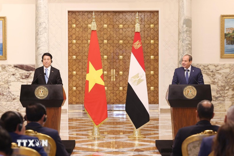 Le président vietnamien Luong Cuong (à gauche) et son homologue égyptien Abdel Fattah El-Sisi lors de la conférence de presse tenue après leur entretien. Photo : VNA.