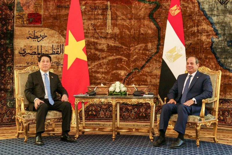 Le président vietnamien Luong Cuong (à gauche) et son homologue égyptien Abdel Fattah El-Sisi. Photo : NDEL.