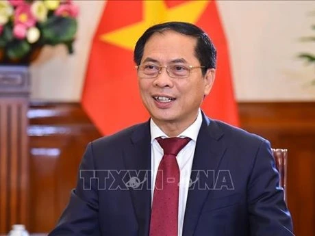 Le ministre des Affaires étrangères Bùi Thanh Son. Photo : VNA.