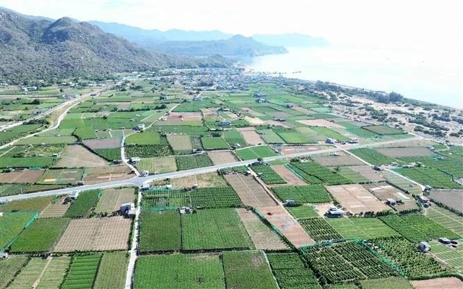 Le projet de centrale nucléaire de Ninh Thuan 2 devrait être construit dans le hameau de Thai An, commune de Vinh Hai, district de Ninh Hai. Photo : VNA.