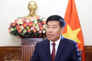 Le vice-ministre vietnamien des Affaires étrangères, Nguyên Manh Cuong. Photo : VNA.