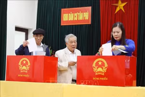 Des électeurs du quartier Viet Tri, province de Phu Tho, participent au scrutin dans la matinée du 15 mars, dans une ambiance enthousiaste, témoignant de leur sens des responsabilités civiques. Photo : VNA.