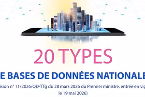 Vietnam : 20 types de bases de données nationales