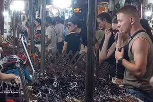 Des visiteurs étrangers aiment flâner et acheter des souvenirs au marché nocturne du Vieux Quartier de Hanoï. Photo : VNA.