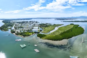 Valoriser les mangroves au sud de Da Nang