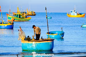 Le village de pêcheurs de Mui Ne captive les regards