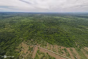 Le Parc national de Cat Tien, un trésor de biodiversité au Vietnam