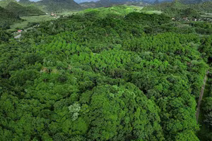 Transition écologique : une voie incontournable vers le développement durable