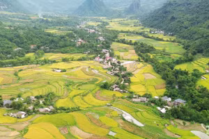 Les villages de montagne à la saison des rizières dorées