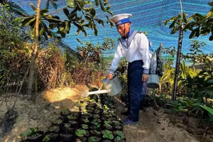 Les plantes aussi “apprennent à être soldats” aux avant-postes de la mer