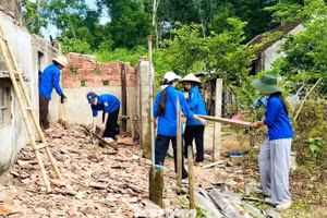 Les jeunes de Nghe An : rénover des logements, renforcer la solidarité