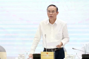 Le vice-ministre de l’Agriculture et de l’Environnement, Phung Duc Tiên. Photo : VNA.
