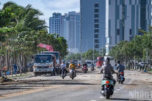 Da Nang : des centaines de personnes nettoient la route touristique Hoang Sa après le typhon