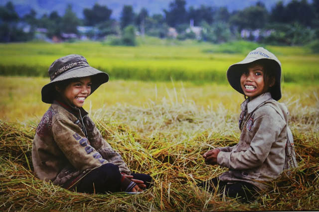 « Couleurs de la vie » à travers le regard d’anciens élèves de Hanoi ảnh 6